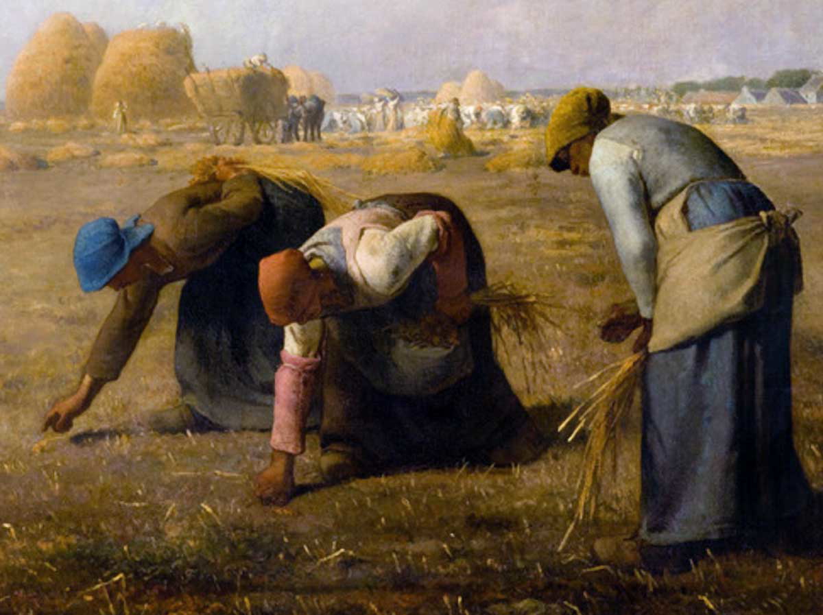 jean françois millet gleaners painting