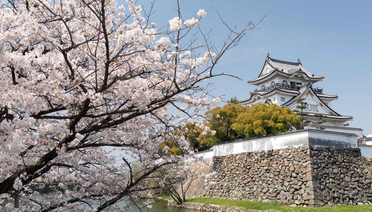 kishiwada castle osaka