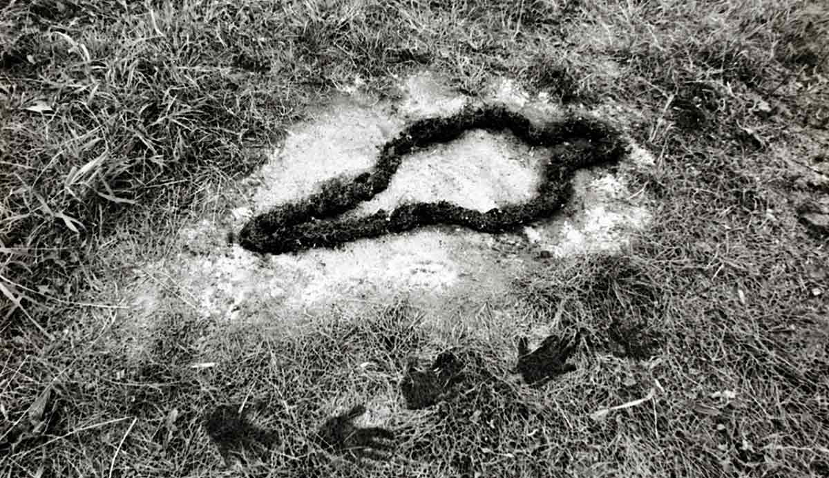 land artist mendieta silueta photo