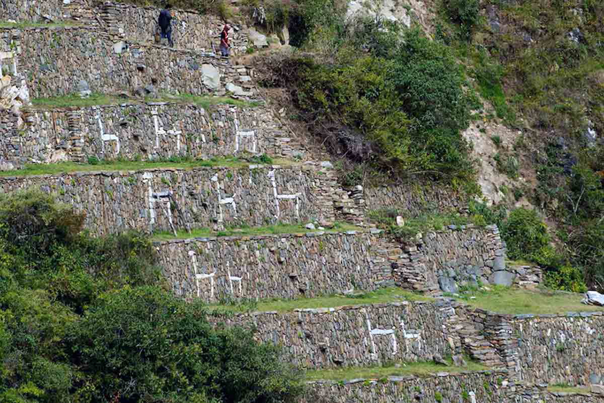llama rock art choquequirao