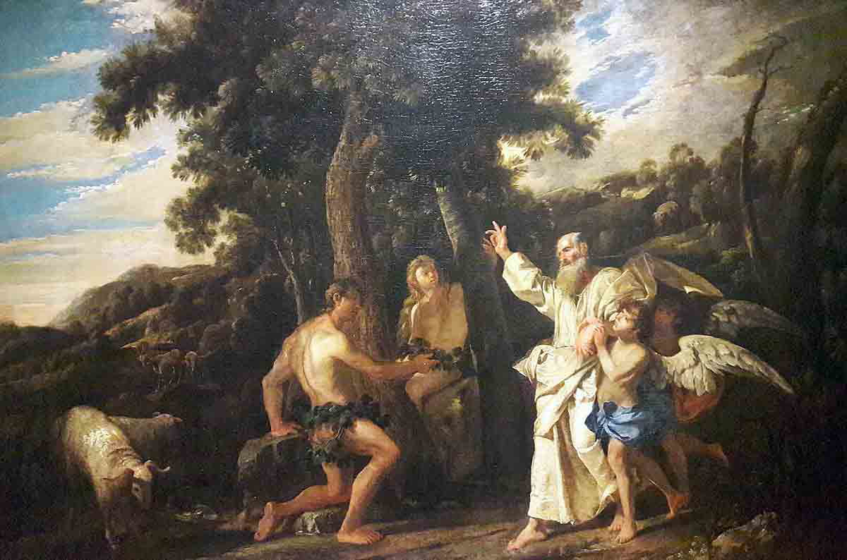 mola expulsion from paradise