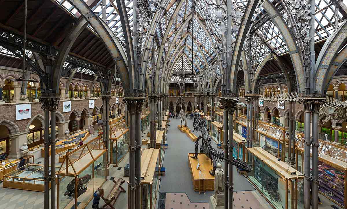 oxford university museum natural history oxford
