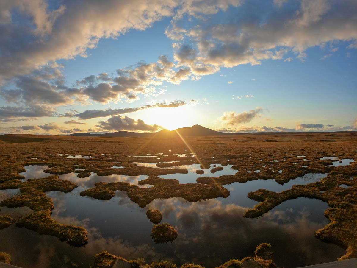 peat bog scotland