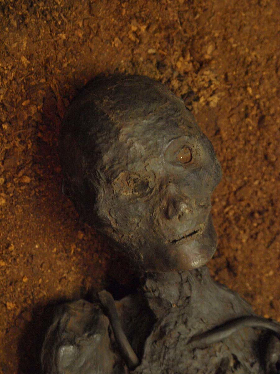 rendswuhren man face