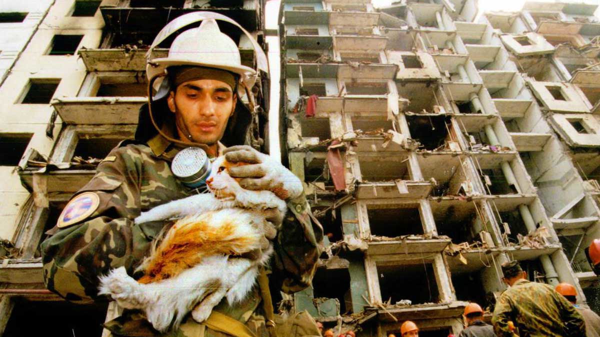 rescue worker with cat