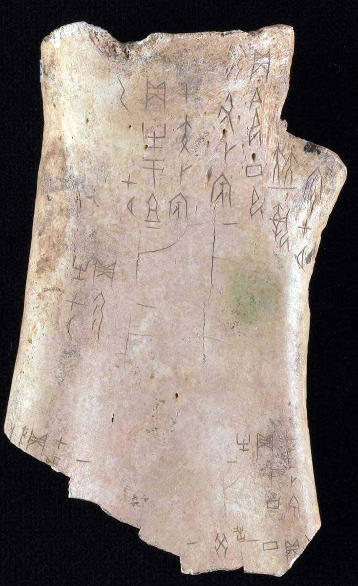 shang dynasty oracle bone cambridge