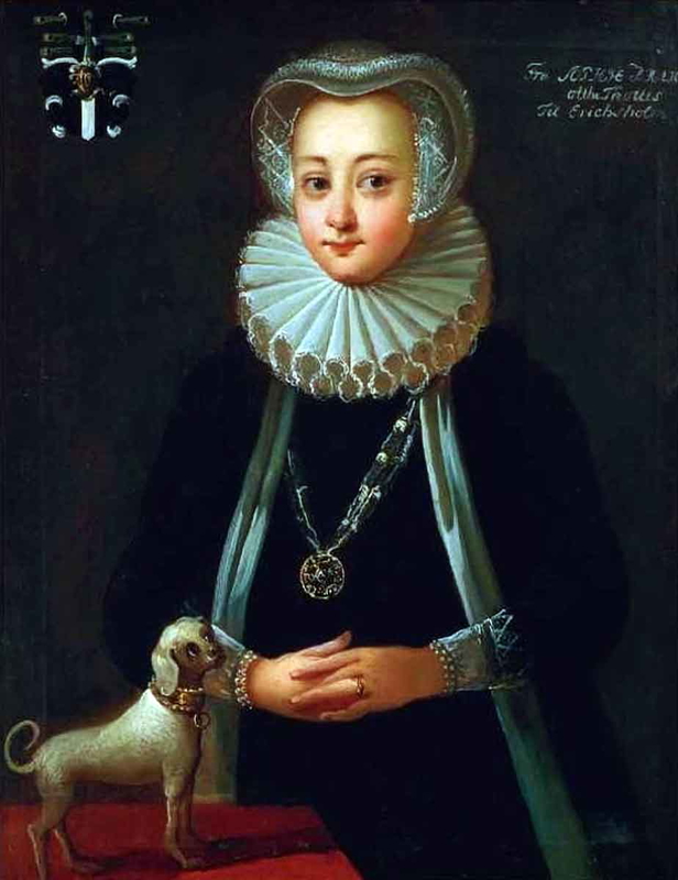 sophia brahe scientific revolution astronomy