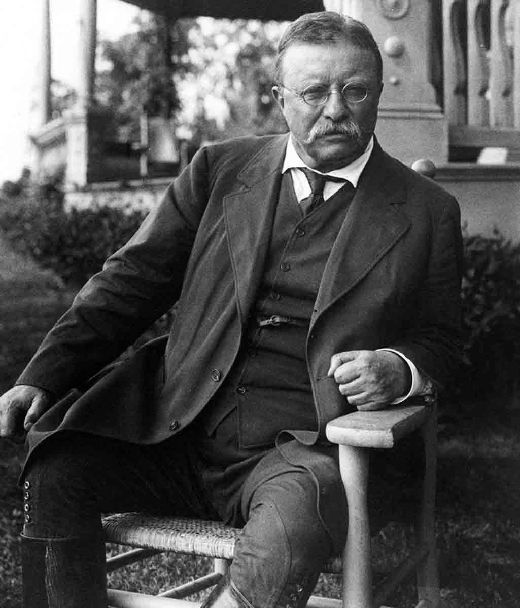 theodore roosevelt president