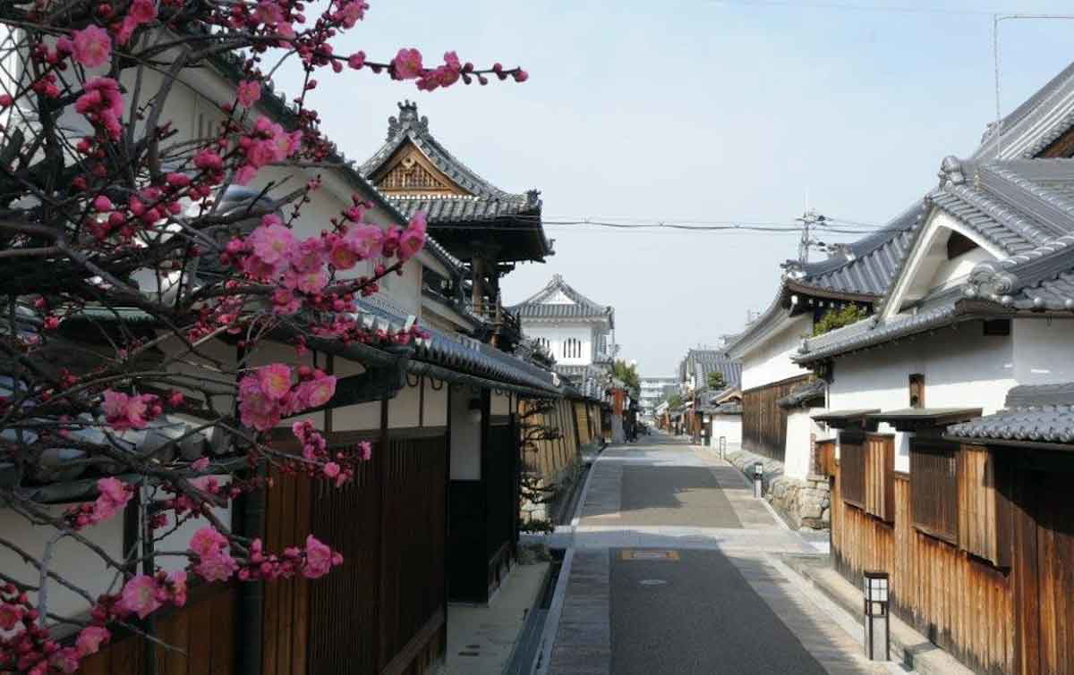 tonda bayashi templetown