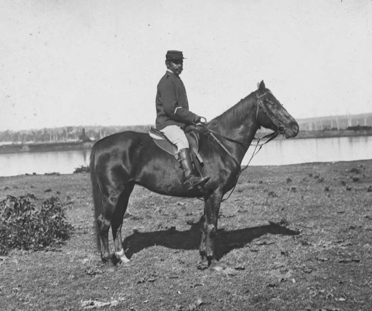 tracker horse australia
