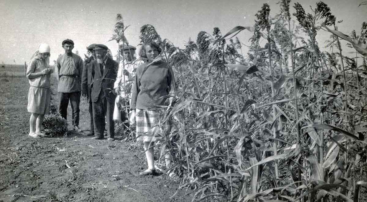 trofim lysenko soviet farmers