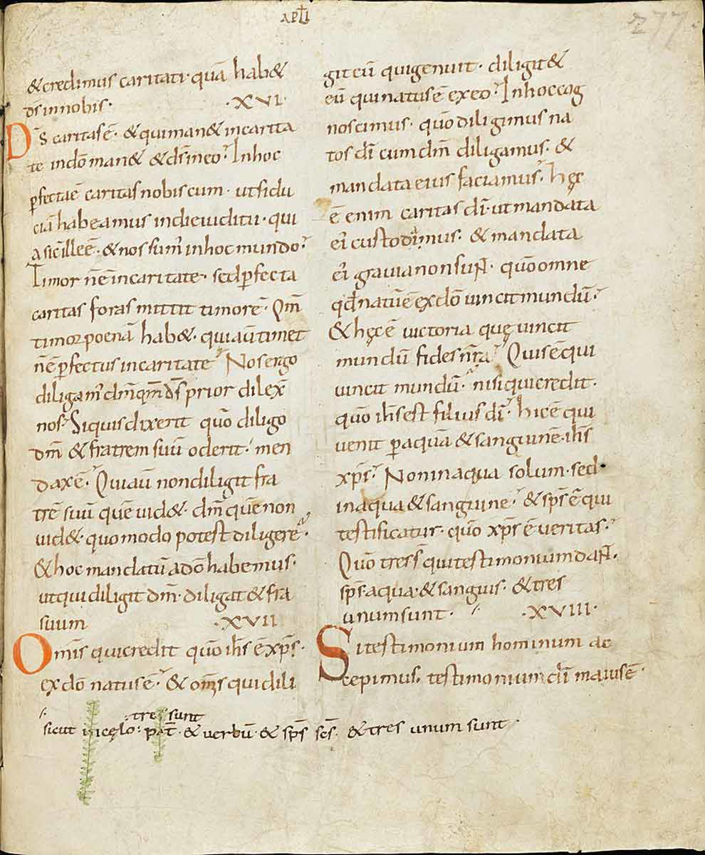 vulgate latin bible translation