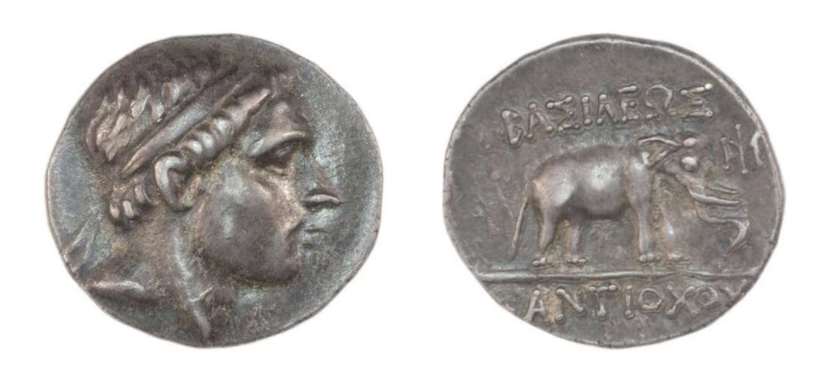 Antiochus elephant coin Syria British Museum