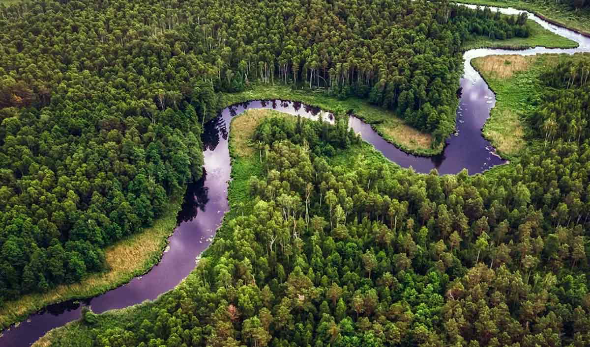 amazon rainforest aerial image river