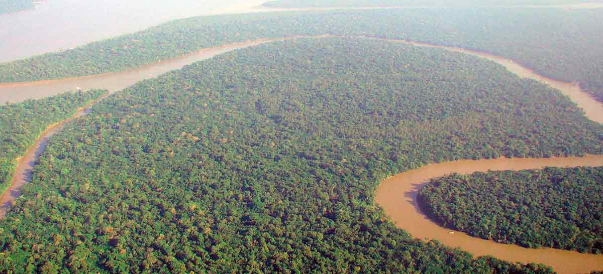 amazon rainforest aerial image