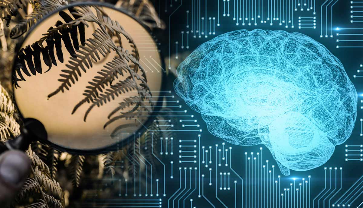 are we prediction machines predictive processing