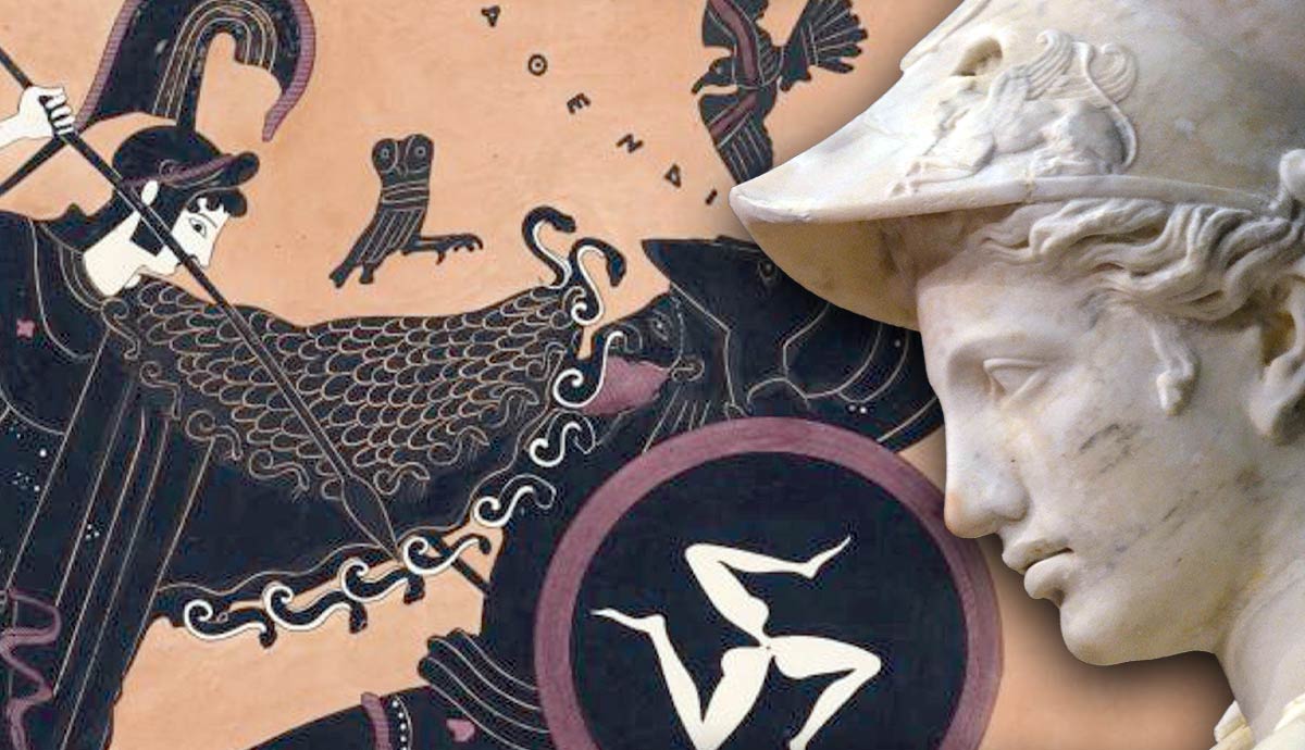 athena symbols owl olive tree gorgoneion
