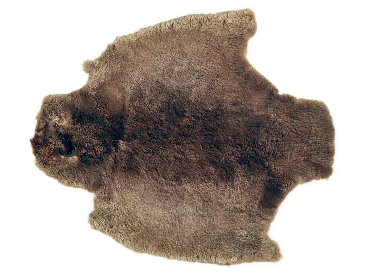 beaver pelts trade metis
