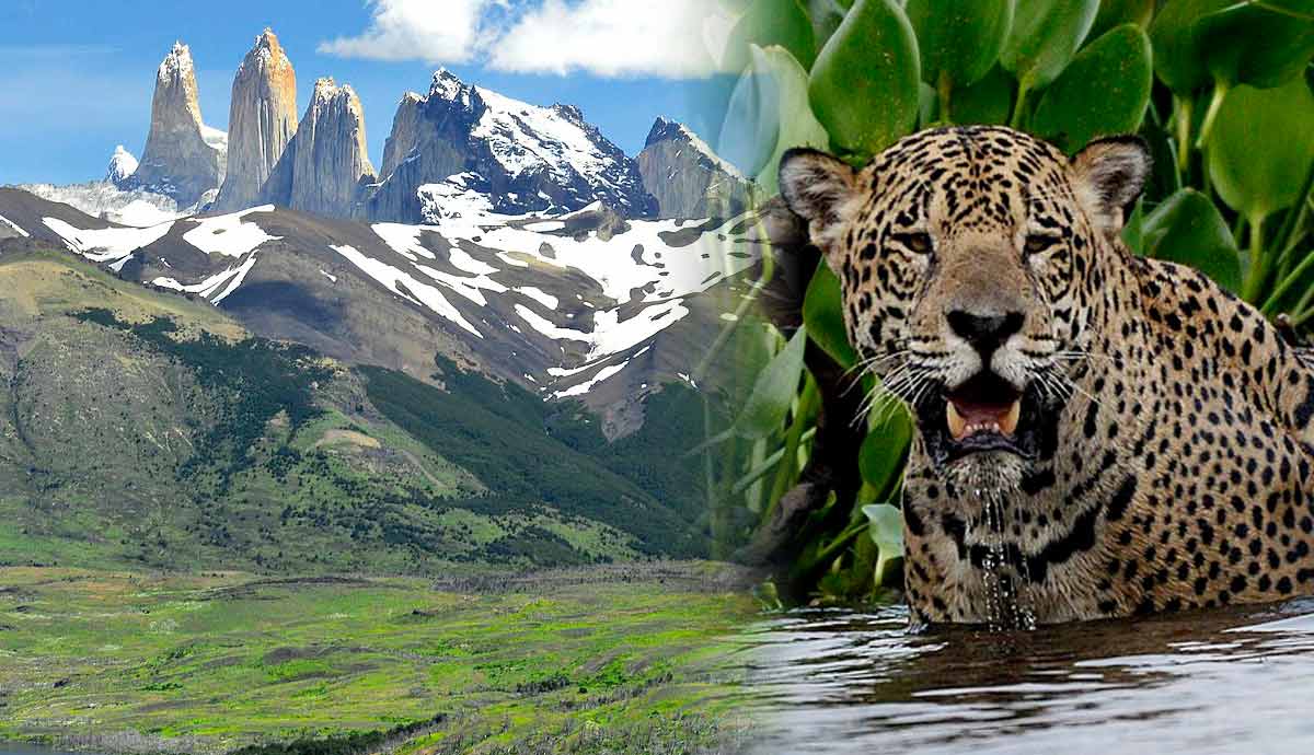 best national parks south america