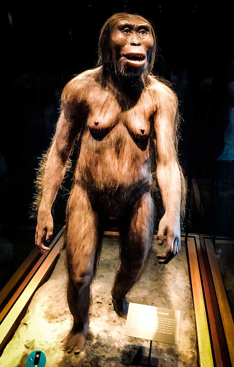 bipedal human horizon