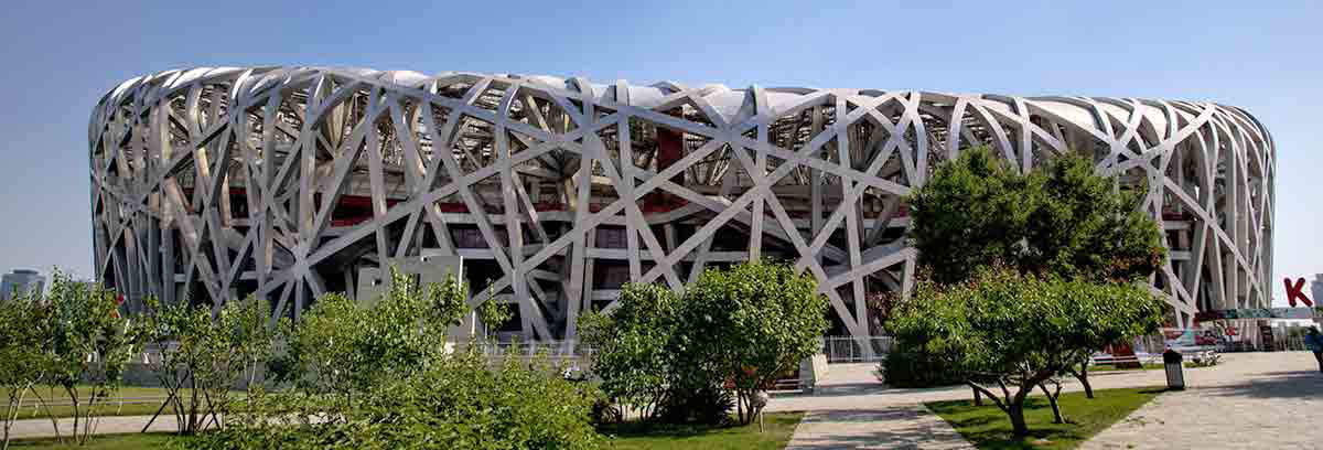 birds nest