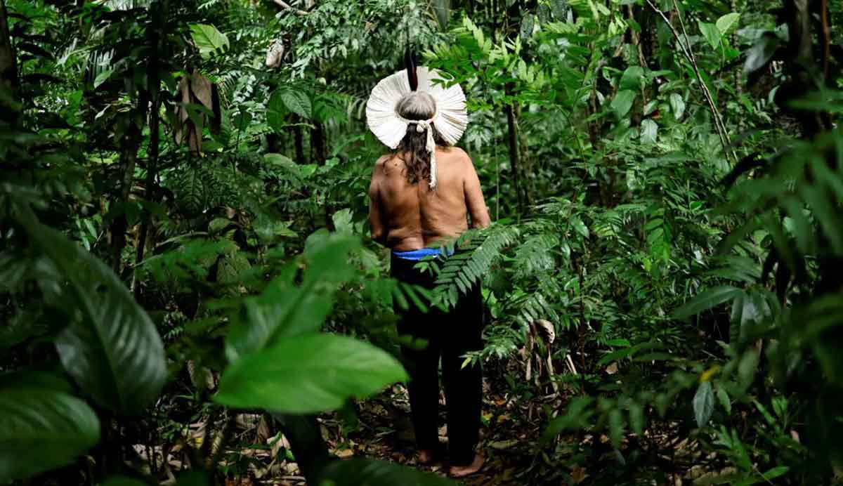brazilia indigenous chief amazon