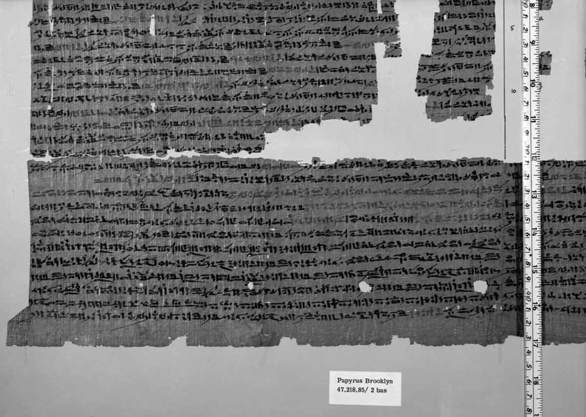 brooklyn snakebite papyrus