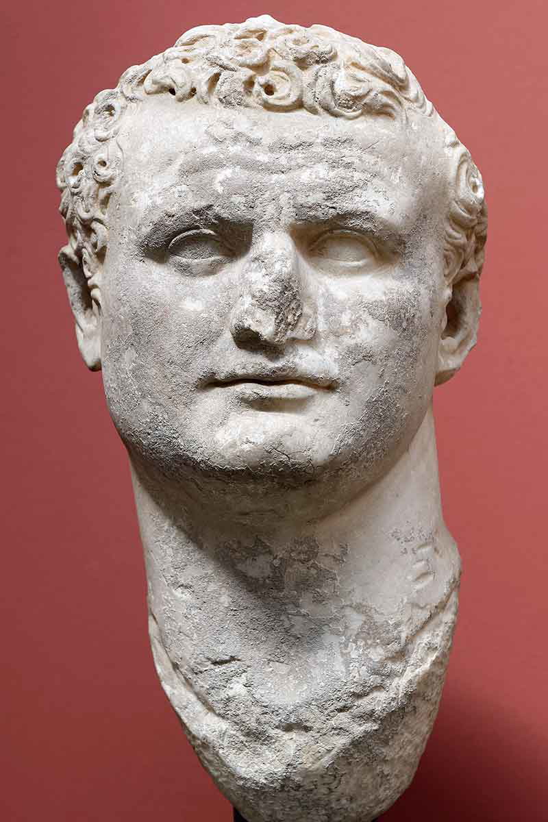bust titus