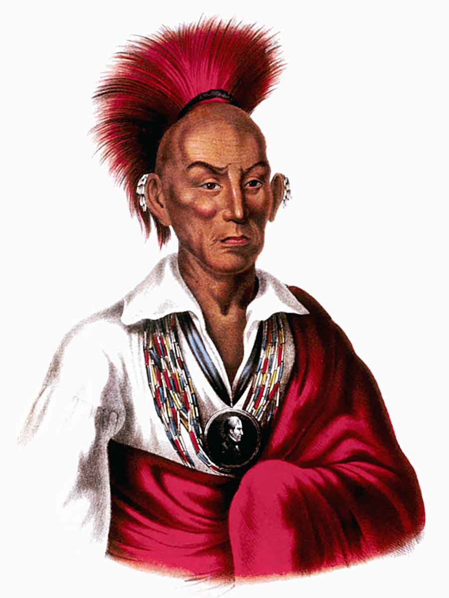 chief black hawk