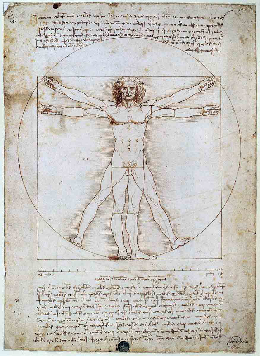 da vinci vitruvian man drawing