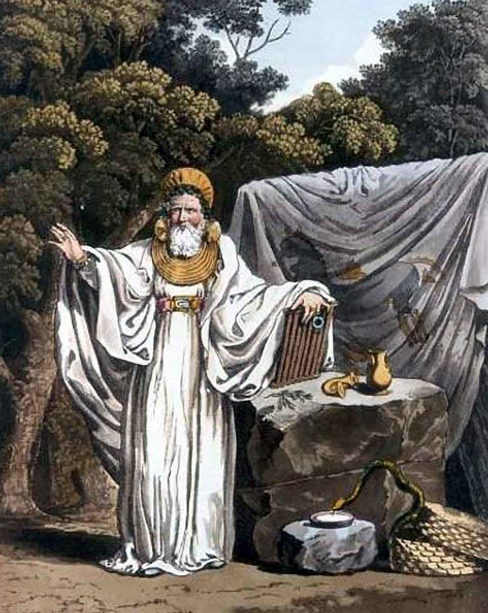 druids illustration