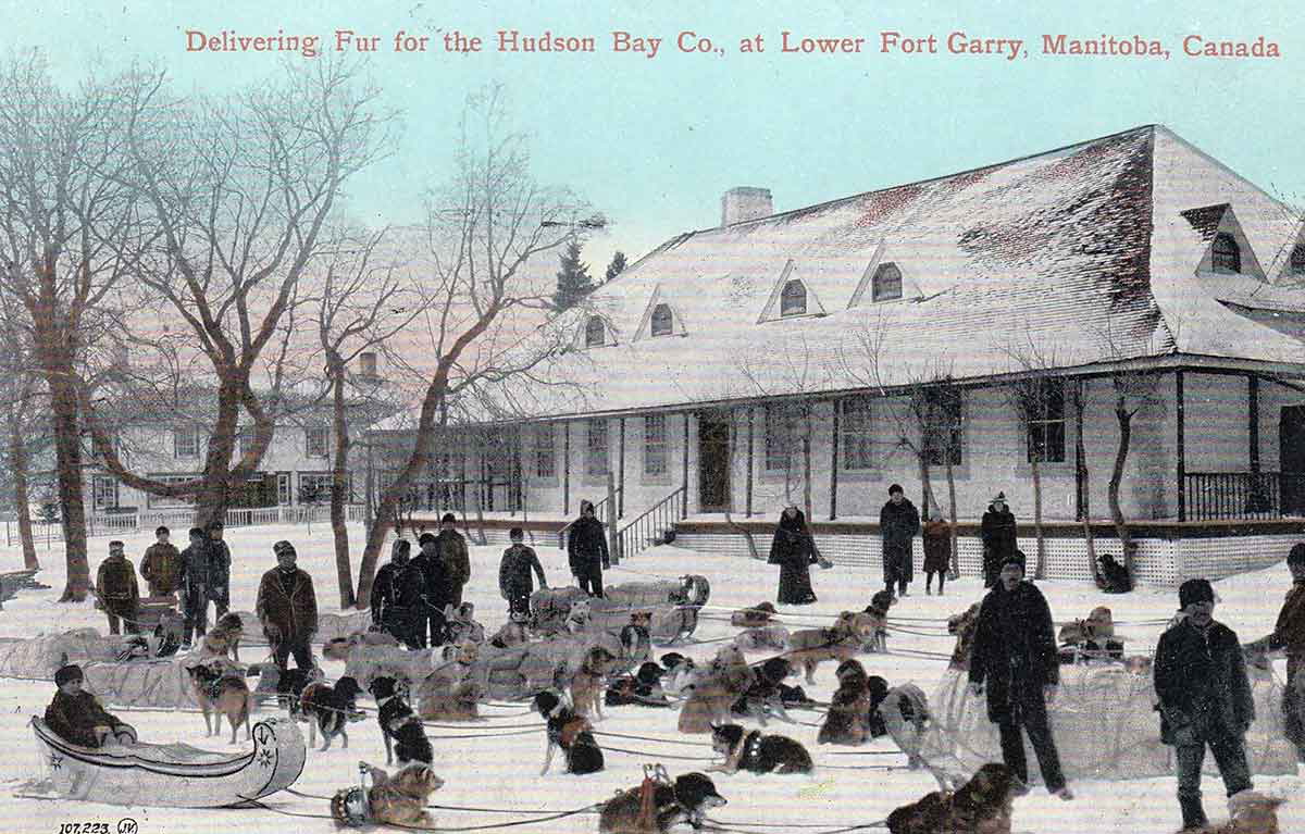 hudson bay company fur metis
