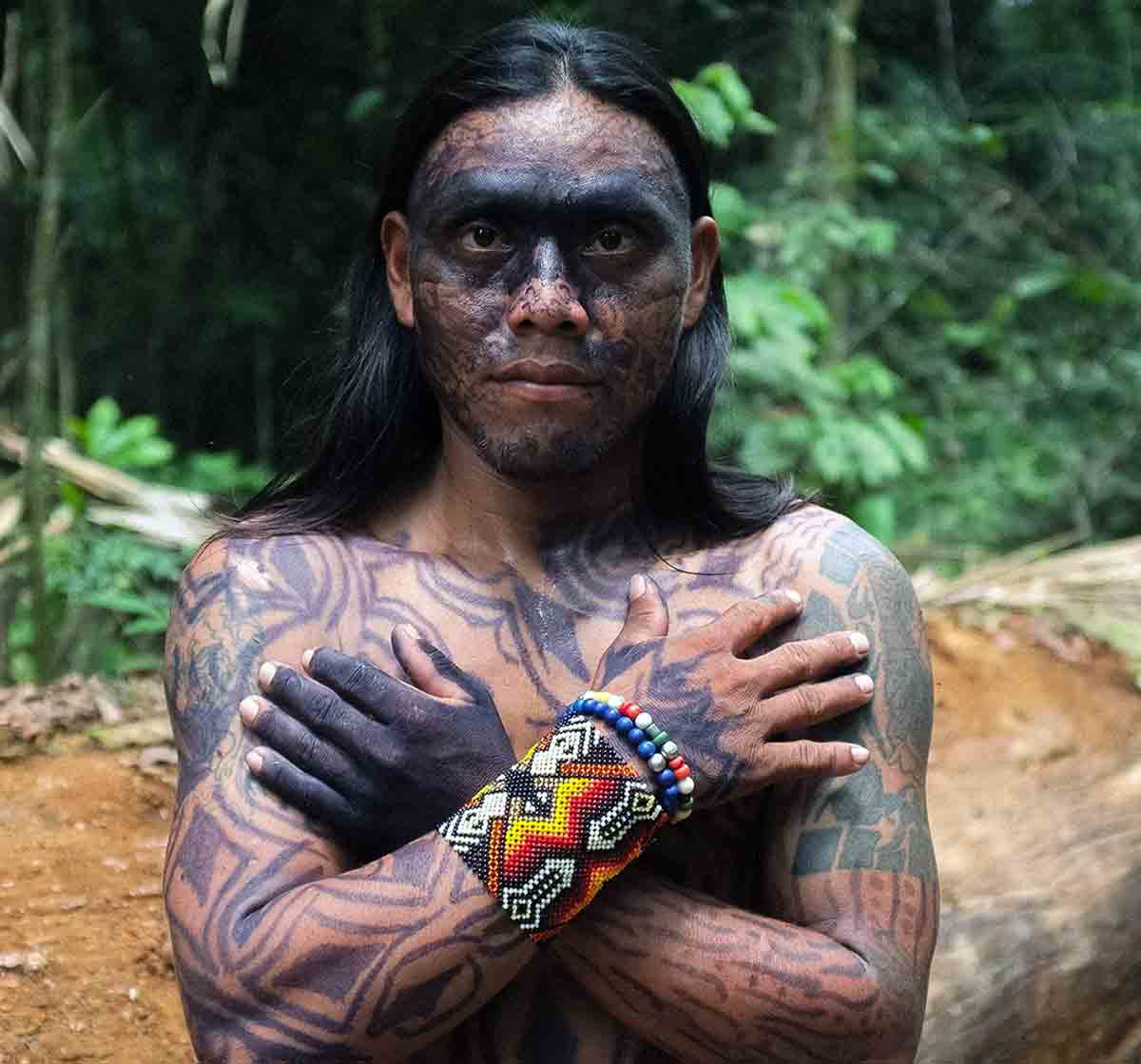 indigenous amazonian protecting forest