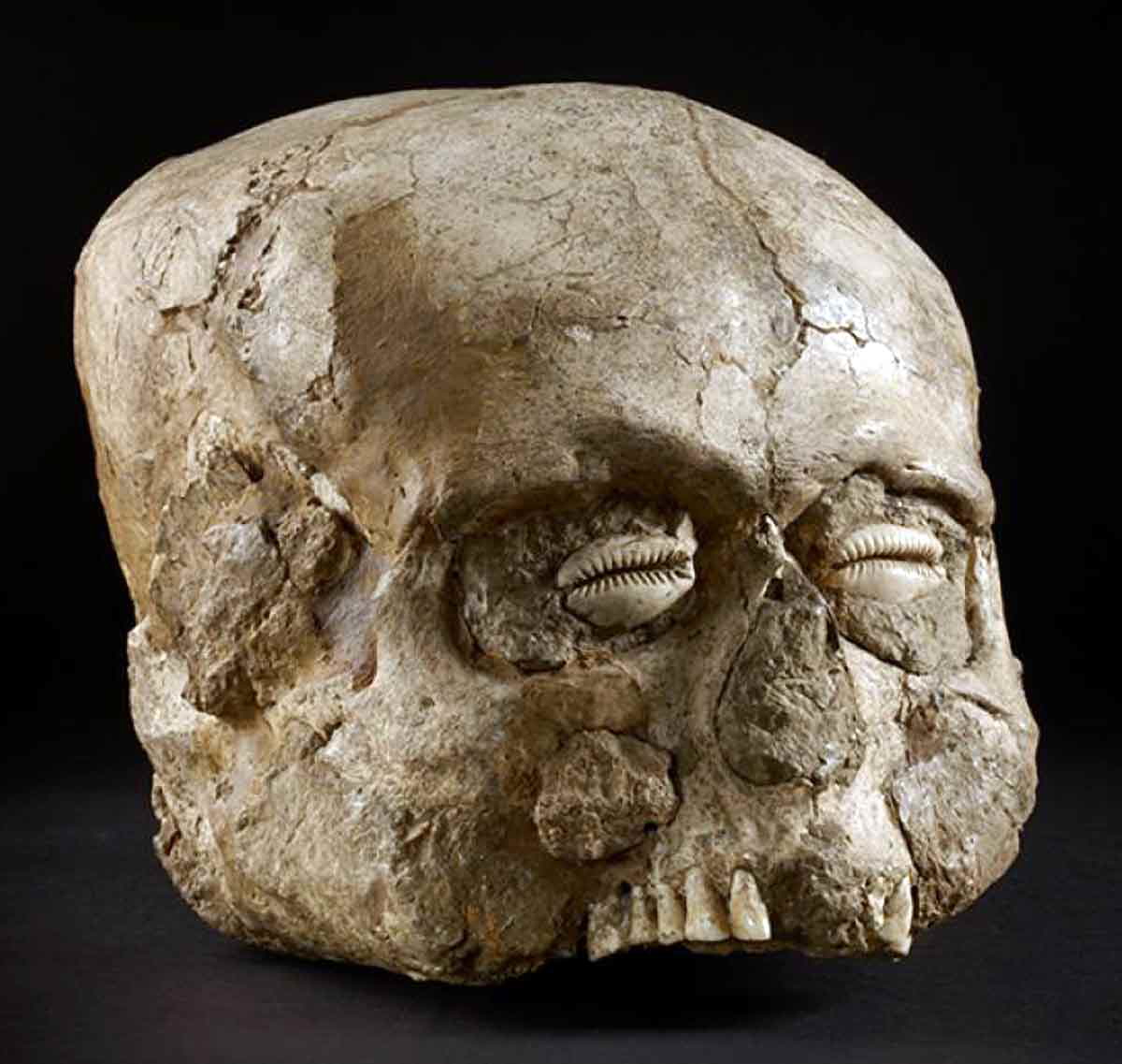jericho skull