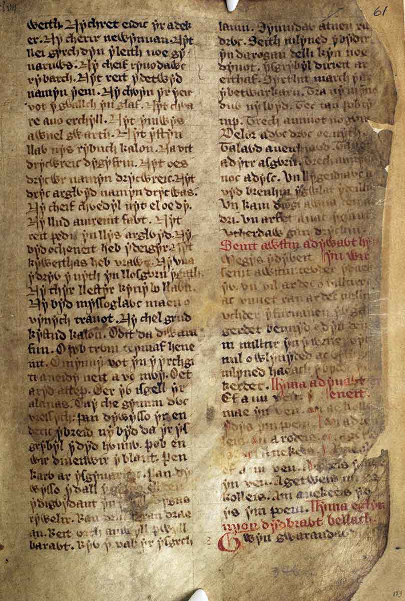 llyfr gwyn rhydderch folio 61r national library wales