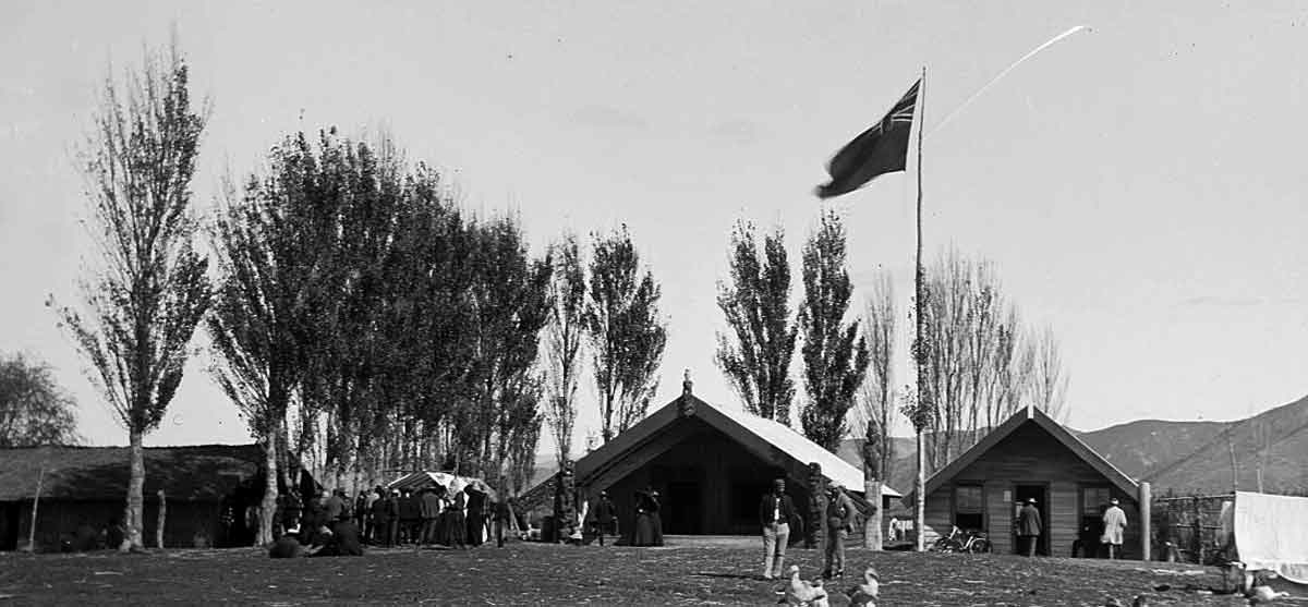 maori parliament photograph