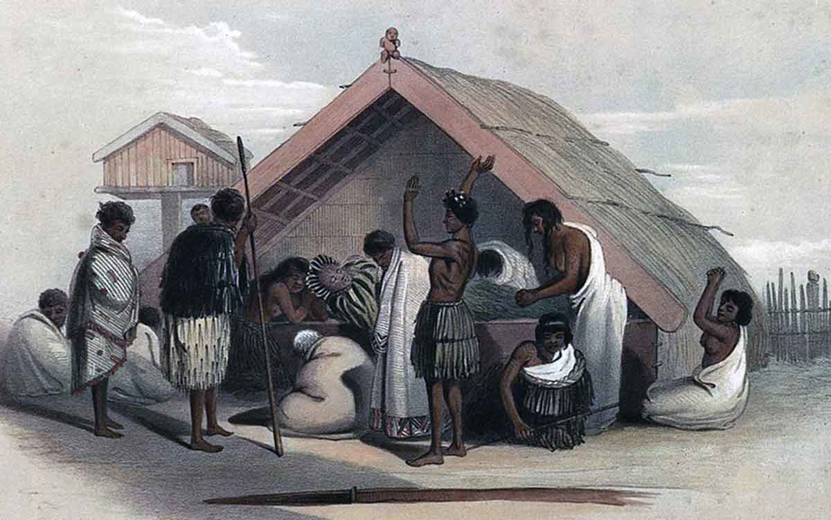 maori weeping chief