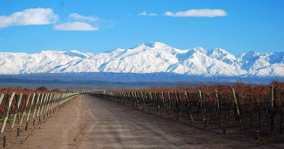 mendoza winery view argentina