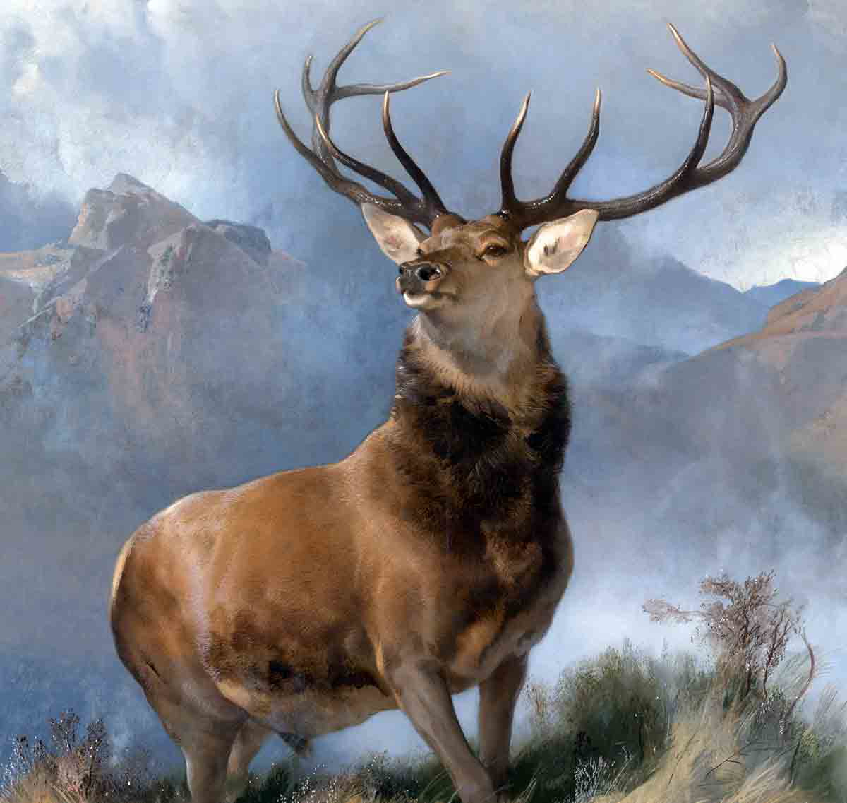 monarch of the glen