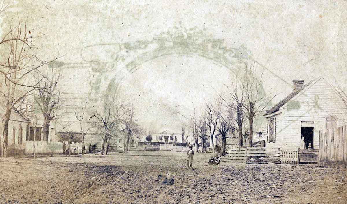 north carolina plantation 1860