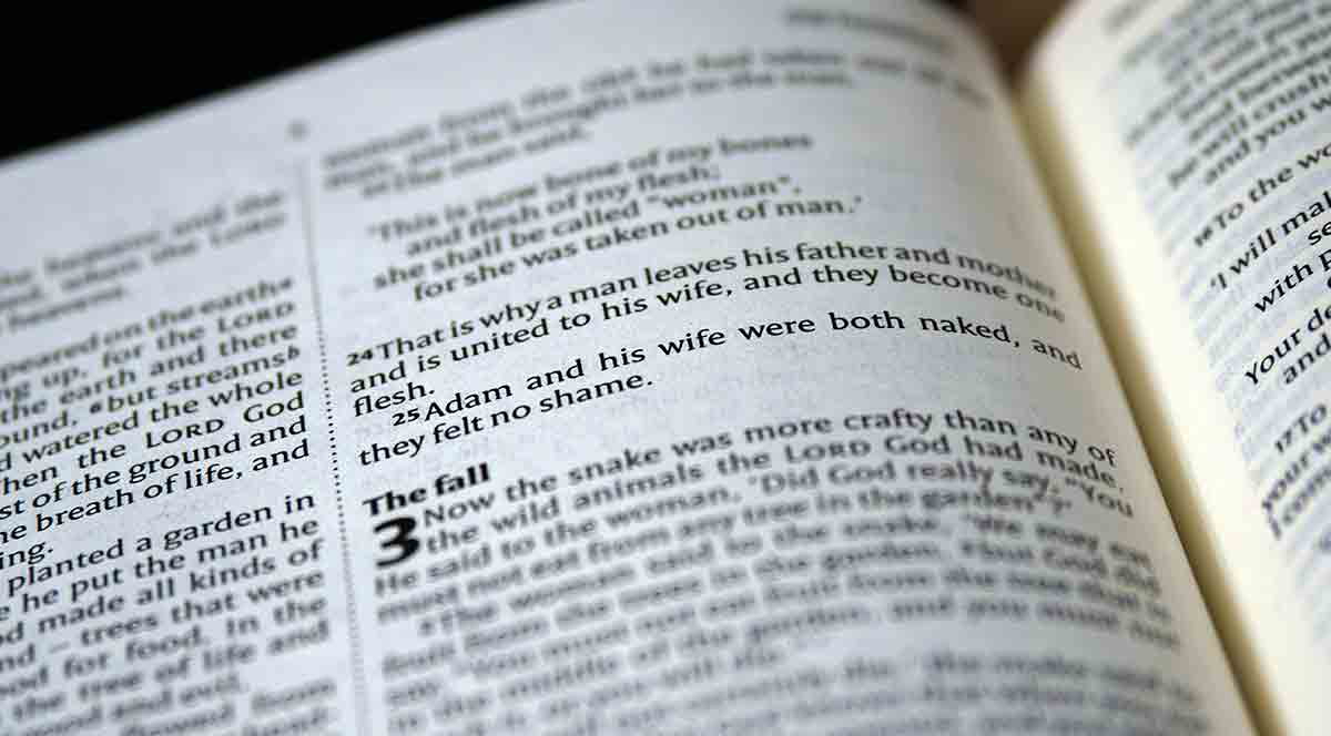 open bible genesis