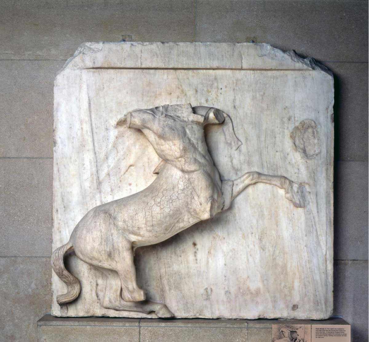 pheidias elgin marbles metope centaur 447 438 bc