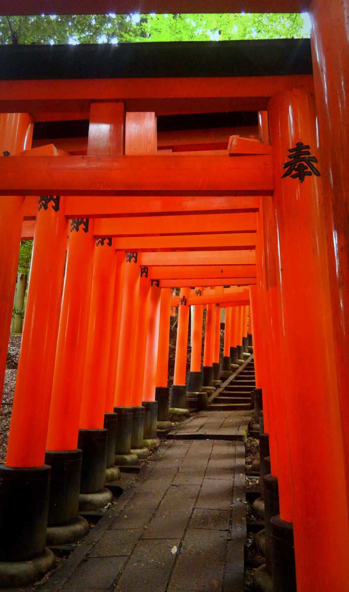 senbon torii path