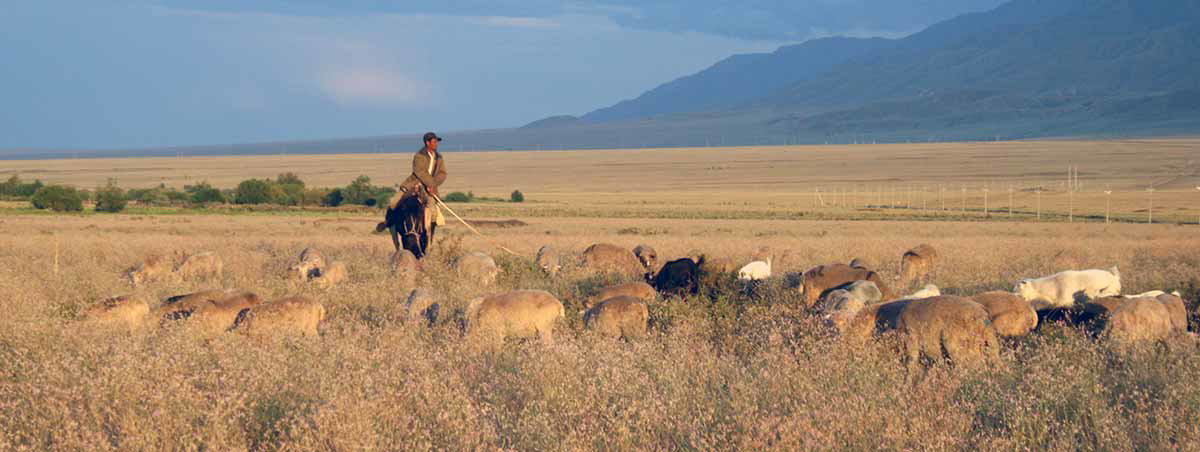 steppes of kazakhstan