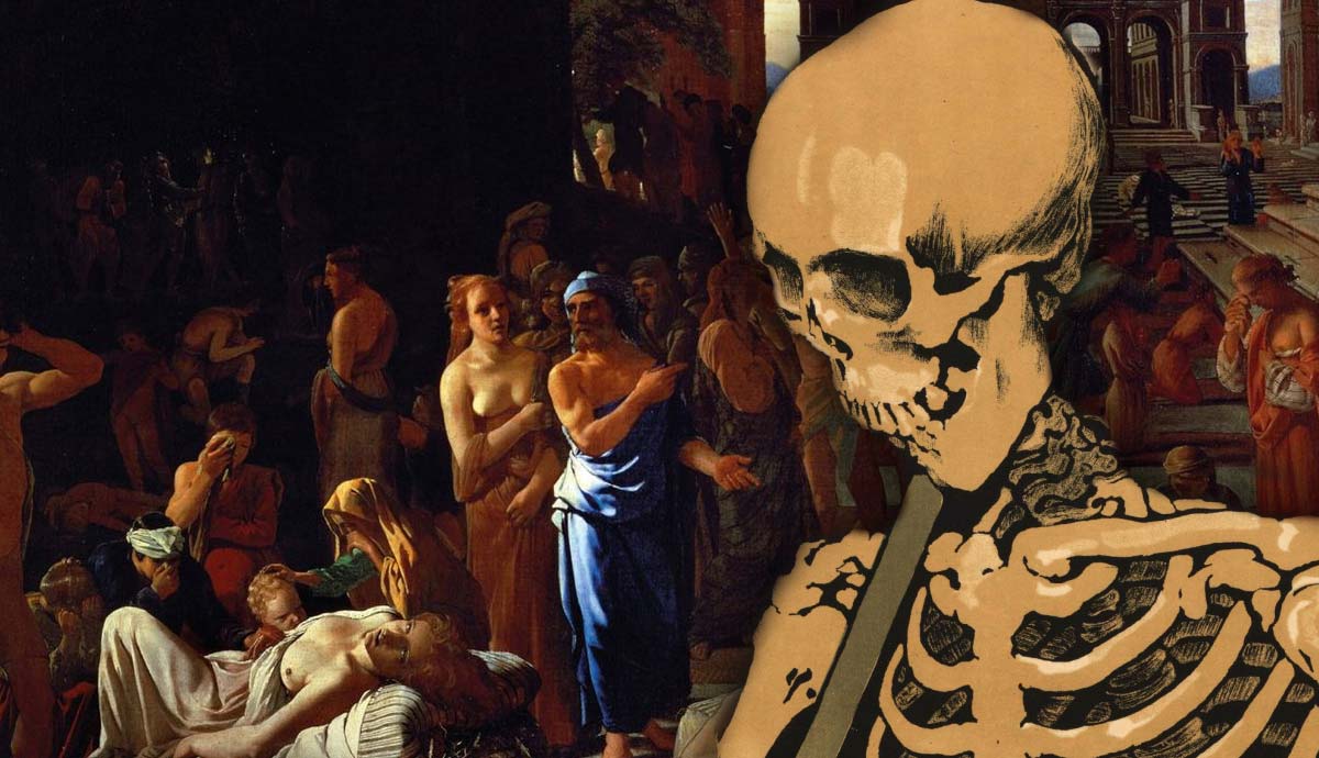 terrible historical facts typhus