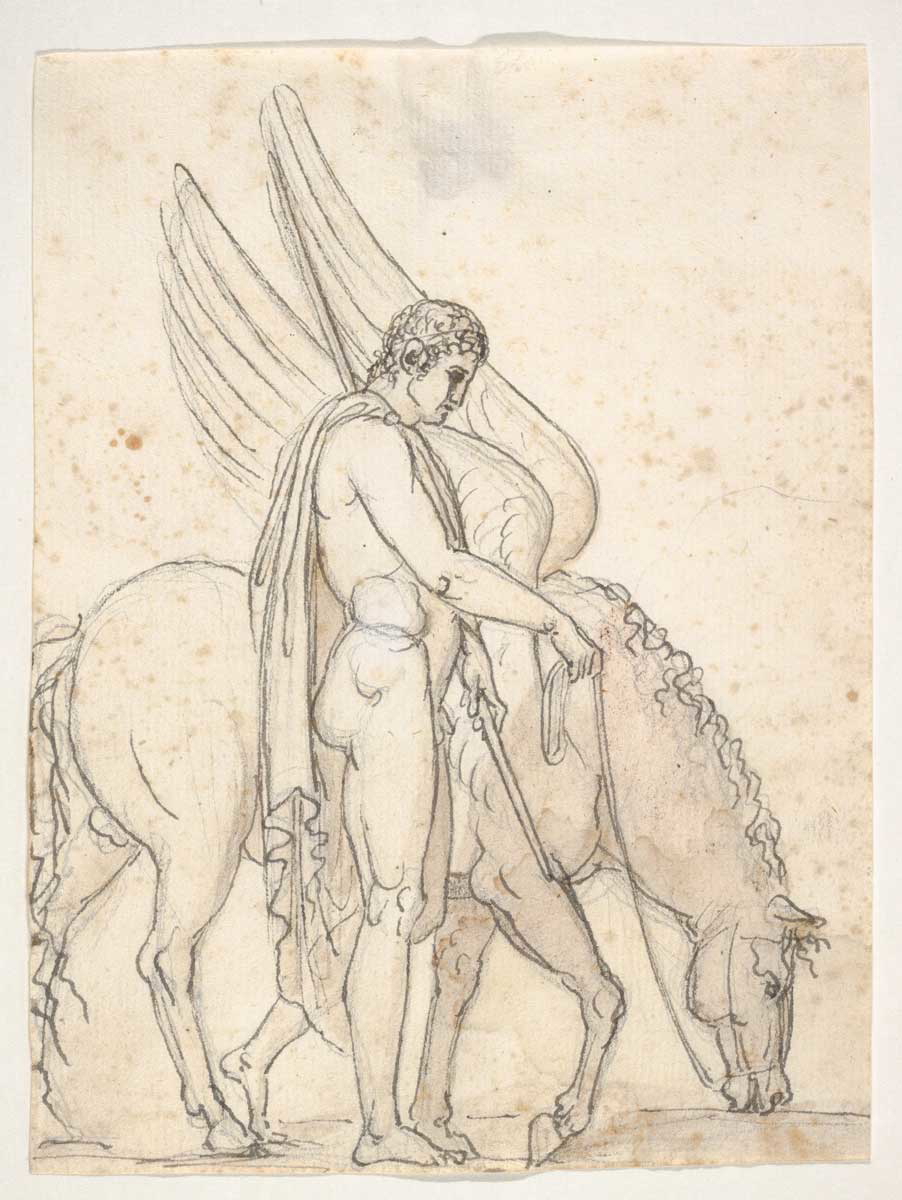 thorvaldsen bellerophon pegasus drawings