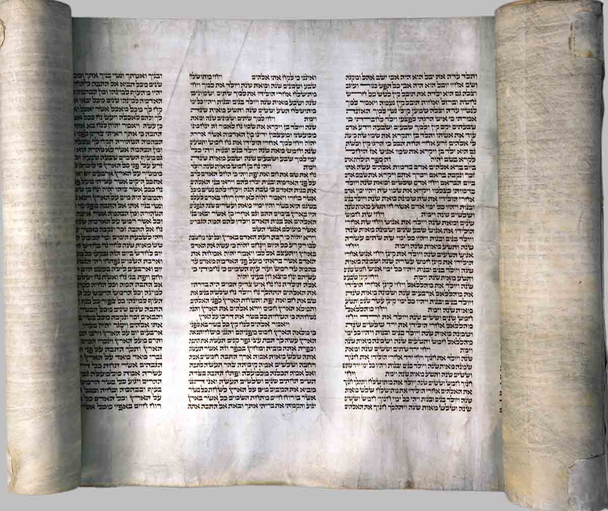 torah unrolled