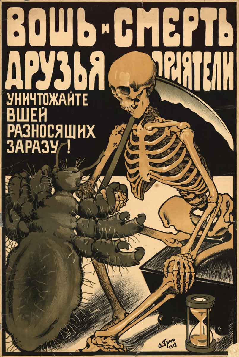 typhus facts lice death