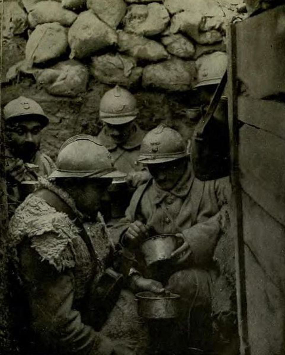 typhus facts trench