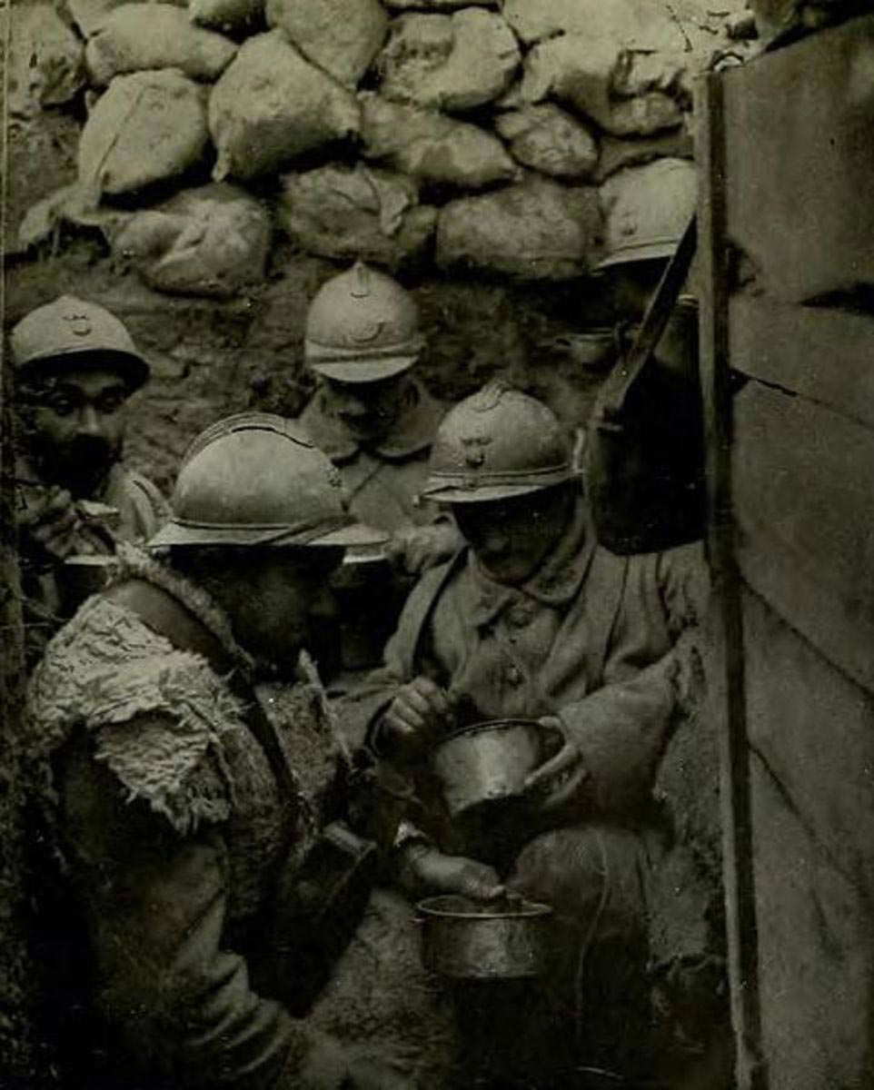 typhus facts trench